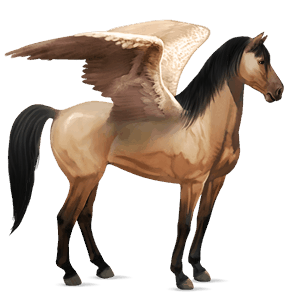 rijpaard-pegasus mustang wildkleur
