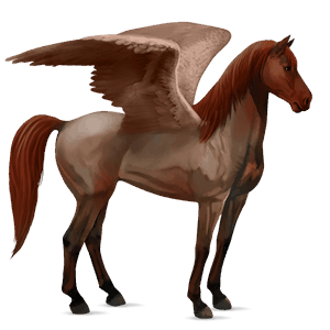 rijpaard-pegasus knabstrupper bruin gevlekte deken 