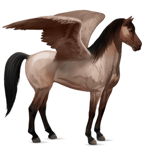 rijpaard-pegasus mustang zwart