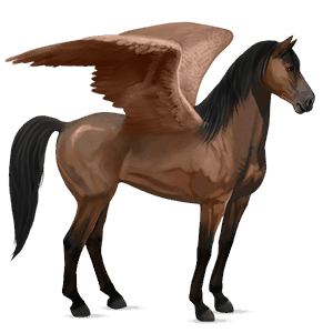rijpaard-pegasus bruin