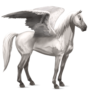 rijpaard-pegasus mustang lichtgrijs