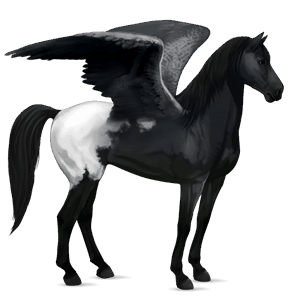 rijpaard-pegasus lusitano cremello
