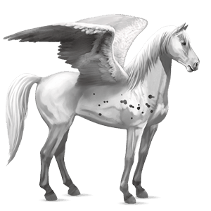 rijpaard-pegasus lusitano lever kastanje