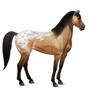 rijpaard lusitano bruin