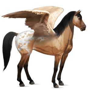 rijpaard-pegasus lusitano bruin