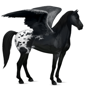 rijpaard-pegasus mustang kastanje gevlekte deken 