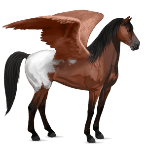 rijpaard-pegasus mustang roodbruine deken 