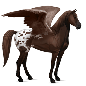 rijpaard-pegasus mustang lever kastanje gevlekte deken