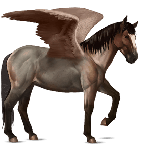 rijpaard-pegasus kastanje