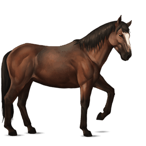 rijpaard lusitano bruin