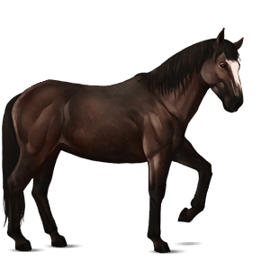 rijpaard lusitano lichtgrijs