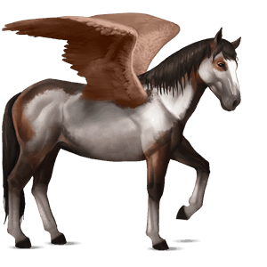 rijpaard-pegasus nokota kastanje overo