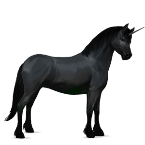 pony-eenhoorn welsh zwart