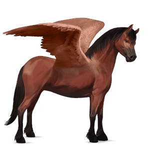 pony-pegasus kerry bog gestippeld grijs