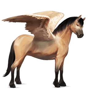 pony-pegasus wildkleur