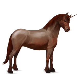 pony-eenhoorn haflinger zweetvos kastanje 