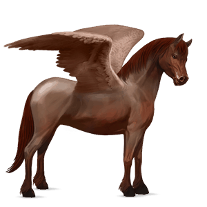 pony-pegasus newfoundland pony lever kastanje