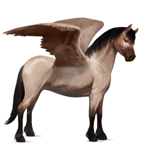 pony-pegasus fjord gra