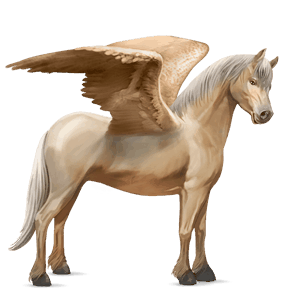 pony-pegasus kerry bog gestippeld grijze tobiano