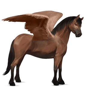 pony-pegasus bruin