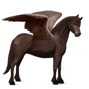 pony-pegasus connemara lever kastanje