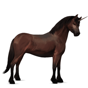 pony-eenhoorn donkerbruin