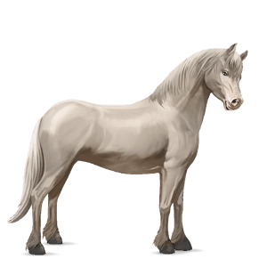 pony newfoundland pony lever kastanje