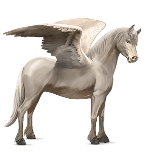 pony-pegasus new forest donkerbruin