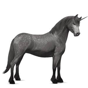 pony-eenhoorn newfoundland pony gestippeld grijs