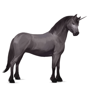 pony-eenhoorn bruin