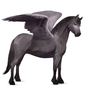 pony-pegasus muisgrijs