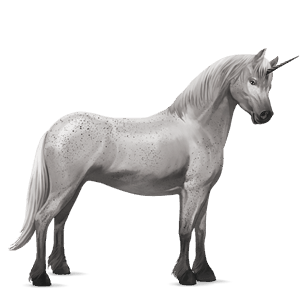 pony-eenhoorn welsh gestippeld grijs