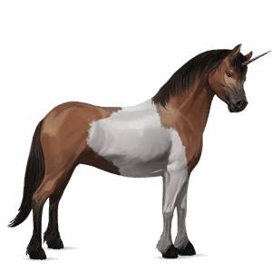pony-eenhoorn shetlander gestippeld grijs