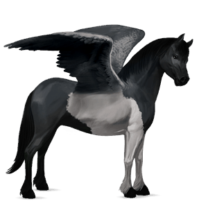 pony-pegasus welsh donkerbruin