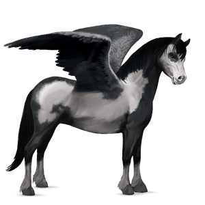 pony-pegasus welsh kastanje