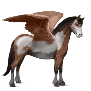 pony-pegasus welsh roan