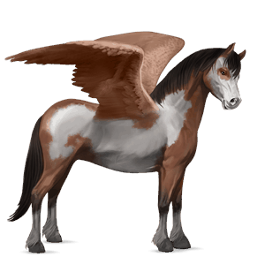 pony-pegasus shetlander zweetvos kastanje 