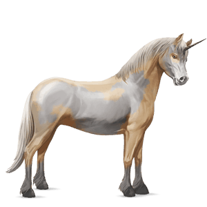 pony-eenhoorn highland pony wildkleur