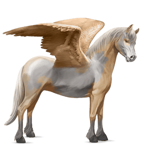 pony-pegasus kerry bog palomino tobiano
