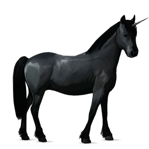pony-eenhoorn zwart