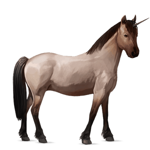 pony-eenhoorn highland pony muisgrijs