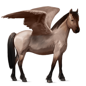 pony-pegasus newfoundland pony roan