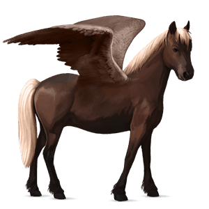 pony-pegasus kerry bog bruin