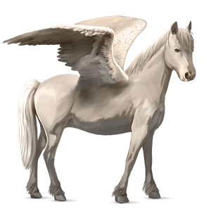 pony-pegasus shetlander cremello