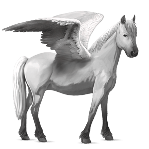 pony-pegasus welsh lichtgrijs