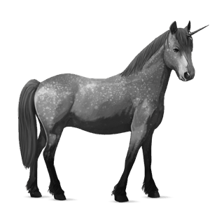 pony-eenhoorn highland pony lichtgrijs