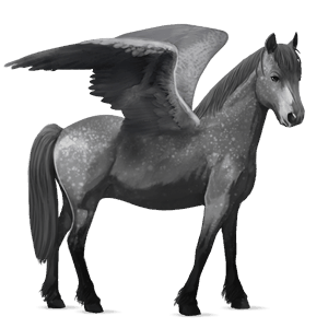 pony-pegasus highland pony gestippeld grijs
