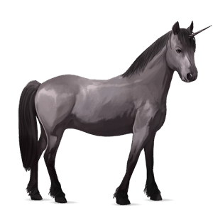 pony-eenhoorn muisgrijs
