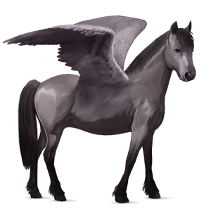 pony-pegasus welsh muisgrijs