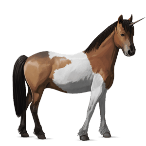 pony-eenhoorn kastanje
